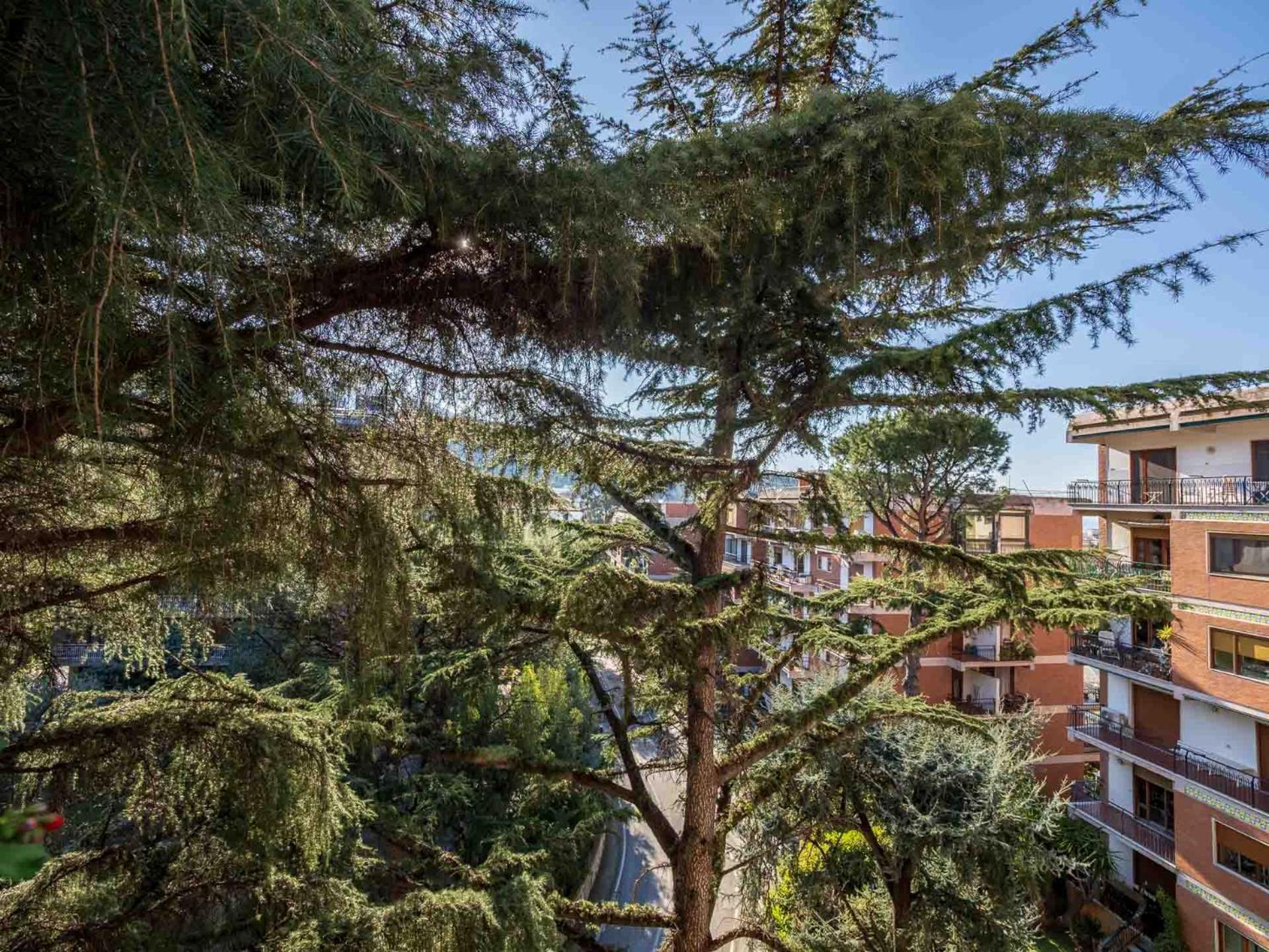 Апартаменти Pine House Сорренто Екстер'єр фото